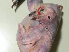 -老谢土菜馆