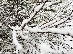 -凯旋公路客运站