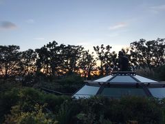 -三鹰之森吉卜力美术馆