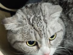 -嘉馨宠物医院·CT影像转诊·心脏科·犬猫全科诊疗中心(下沙大学城院区)