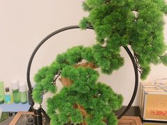 -耳博汇·采耳文化体验馆(陈家祠店)