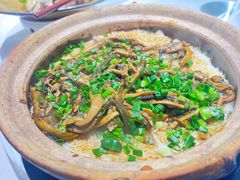 -优之名鹅城