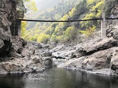 -黑河国家森林公园