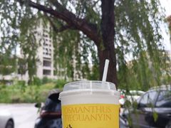 -奈雪的茶(振华商厦店)