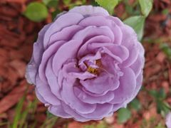 -滨河世纪广场公园