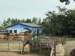 -西安秦岭野生动物园