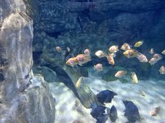 -常州海昌海洋探索馆