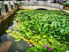 -昆明华邑酒店
