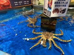 -盒马鲜生(解百新元华店)