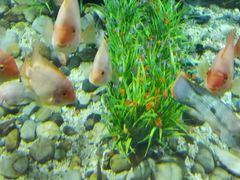 android_upload_pic-福州罗源湾海洋世界旅游区