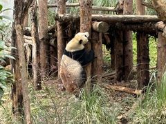 -黔灵山公园