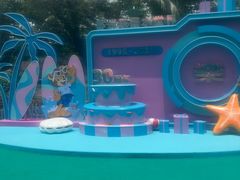 -苏州乐园森林水世界