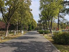 -白塘生态植物园