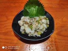 -三月居酒屋(青年大街店)