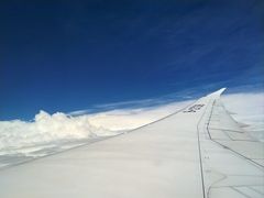 -味子夫鸡柳(解放碑总店)