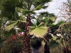 -桤木河湿地公园