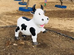 -长春公园(普阳街道)