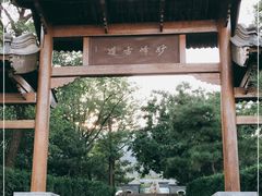 -阳台山自然风景区