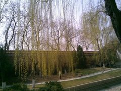 景点-菖蒲河公园