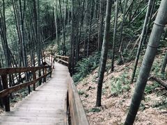 -宁波浙东大竹海景区