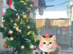 -多味居(剪子巷店)
