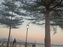 -深圳湾公园(南山区)