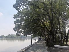 -东湖景区