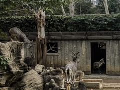 -成都动物园