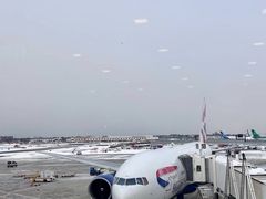-约翰·菲茨杰拉德·肯尼迪国际机场