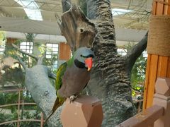 -南宫五洲植物乐园