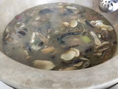 -七采菌园·石锅鱼野生菌火锅(环城北路店)