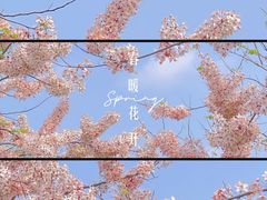 -白石龙音乐公园