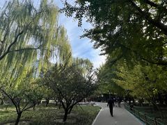 -月坛公园