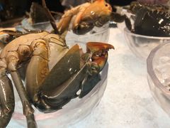 -半岛翡丽海鲜自助餐厅(观风亭店)