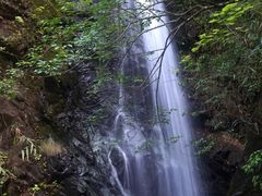 -马峦山郊野公园