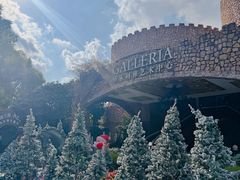 -J Create城市露营咖啡·简餐·宠物(上海动物园店)