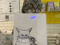 -平行世界·猫咖(首经贸店)