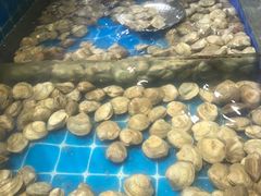 -集杰尚品海鲜烤肉自助餐厅(乳山振华店)