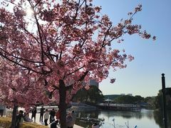 -新江湾城公园