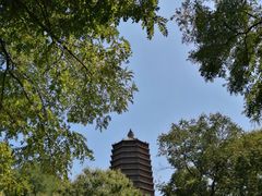 -玲珑塔公园