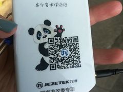 -都江堰中华大熊猫苑