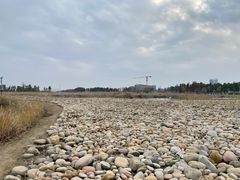 -鹦鹉洲湿地公园