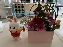 -雪绒花月子会所(祥盛店)