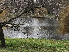 -海德公园