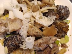-山菌美食苑(振兴路店)