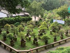 -麦雪尔甜品·生日蛋糕(新街口旗舰店)