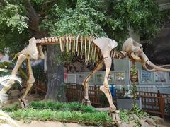 -中国第四纪冰川遗迹陈列馆