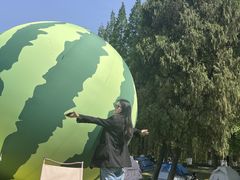 -黄海国家森林公园