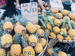 菠萝-红星农博物流中心