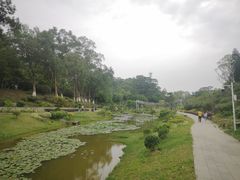 -东莞植物园